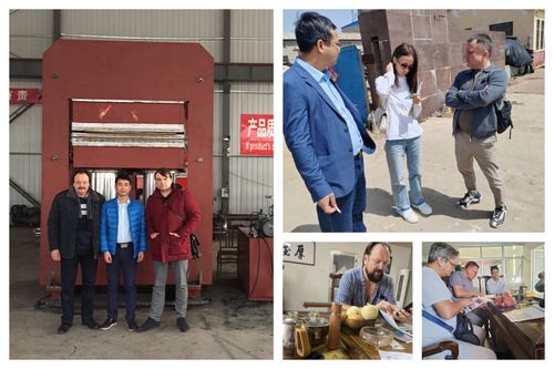 Avrupalı müşteriler kauçuk kalıplama vulkanize makinesi satın aldı